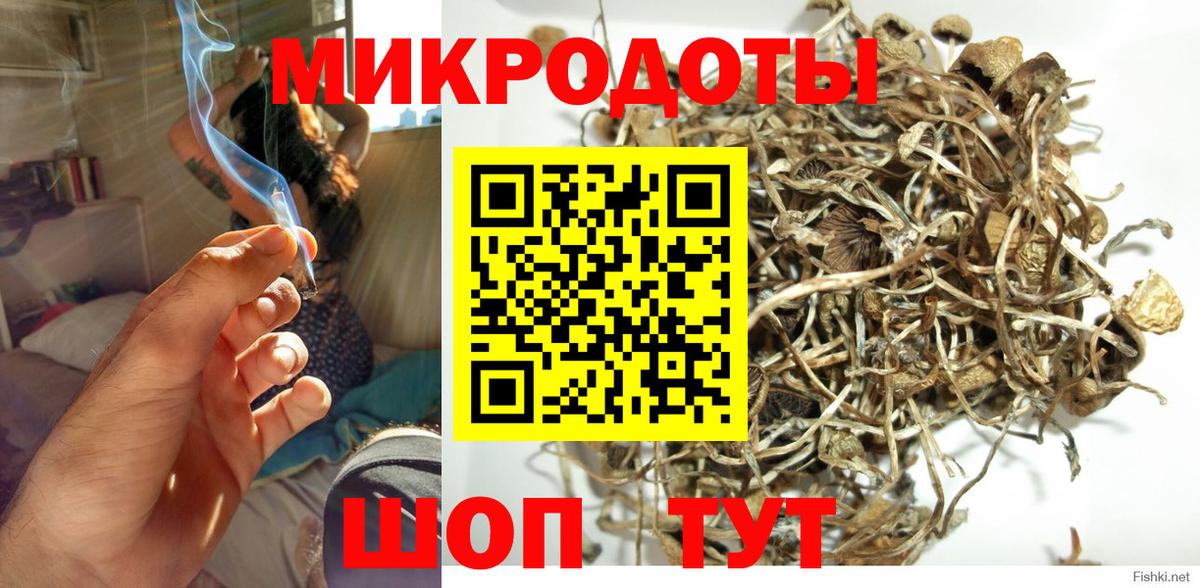 Псилоцибиновые грибы Cubensis  Вход с VPN  Касимов 