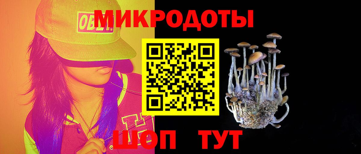 Псилоцибиновые грибы Magic Shrooms Касимов